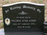 image of grave number 916838